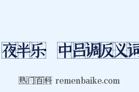 夜半乐·中吕调反义词是什么意思的图片